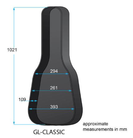 Custodia in foam per chitarra